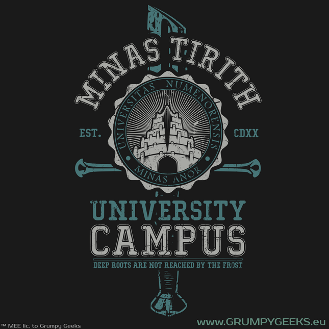 Lord of the Rings themed Minas Tirith Gondor University artwork